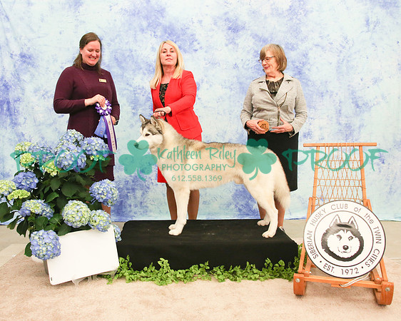 PROOF Siberian Husky Club of the Twin Cities Judge Kelly Kathlyn Boyd