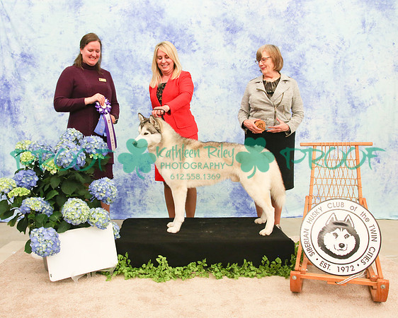 PROOF Siberian Husky Club of the Twin Cities Judge Kelly Kathlyn Boyd