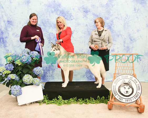PROOF Siberian Husky Club of the Twin Cities Judge Kelly Kathlyn Boyd