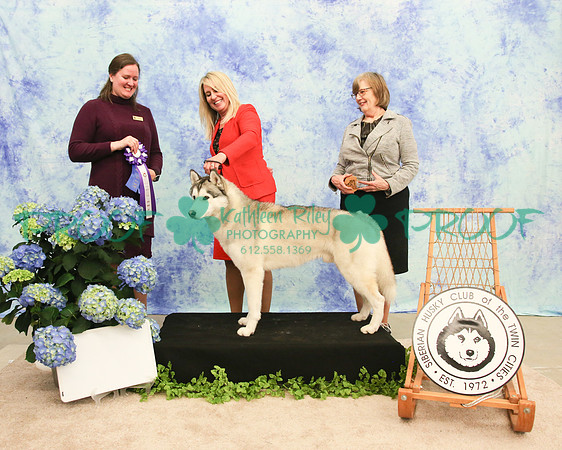 PROOF Siberian Husky Club of the Twin Cities Judge Kelly Kathlyn Boyd