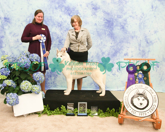 PROOF Siberian Husky Club of the Twin Cities Judge Kelly Kathlyn Boyd