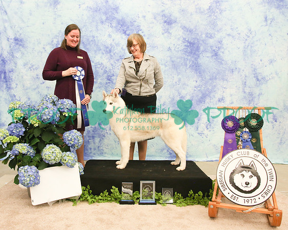PROOF Siberian Husky Club of the Twin Cities Judge Kelly Kathlyn Boyd