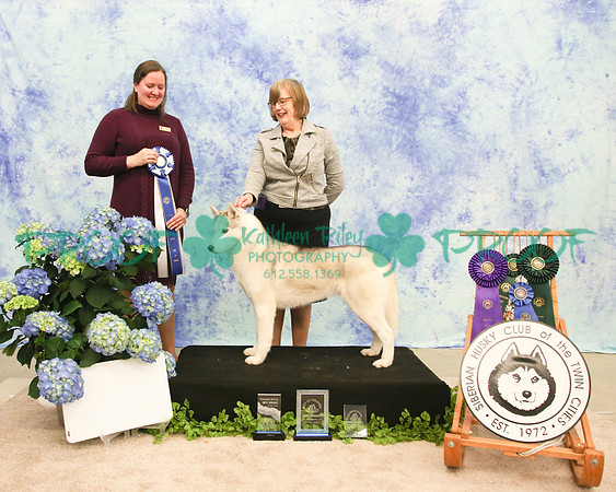 PROOF Siberian Husky Club of the Twin Cities Judge Kelly Kathlyn Boyd