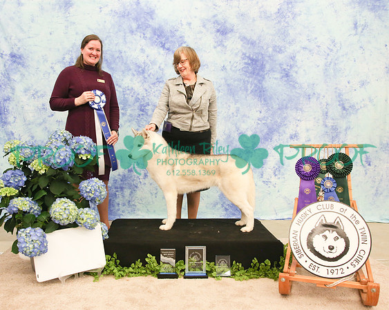 PROOF Siberian Husky Club of the Twin Cities Judge Kelly Kathlyn Boyd