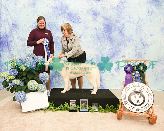 PROOF Siberian Husky Club of the Twin Cities Judge Kelly Kathlyn Boyd