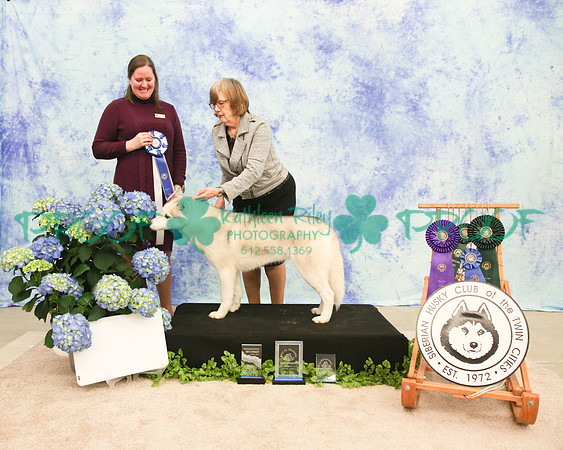 PROOF Siberian Husky Club of the Twin Cities Judge Kelly Kathlyn Boyd