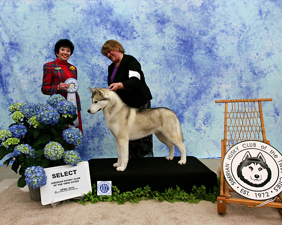 Select - Saturday - CH Kansa Something To Be Proud Of