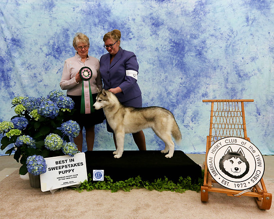 Best in Sweepstakes Puppy -  12-18 - Saturday - Kansa You Make Me Feel Like Dancing