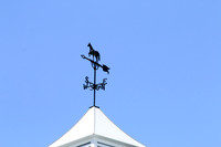 2019-04-20 Rosewood Minnesota for Fasig-Tipton