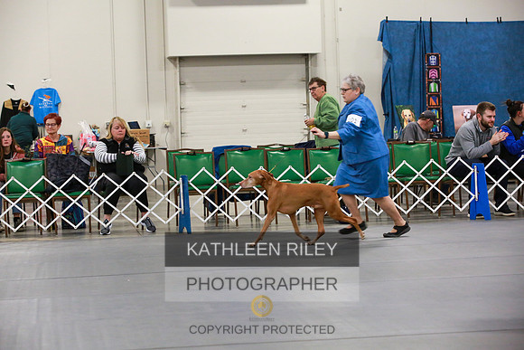 2022-KathleenRileyPhotography-7867