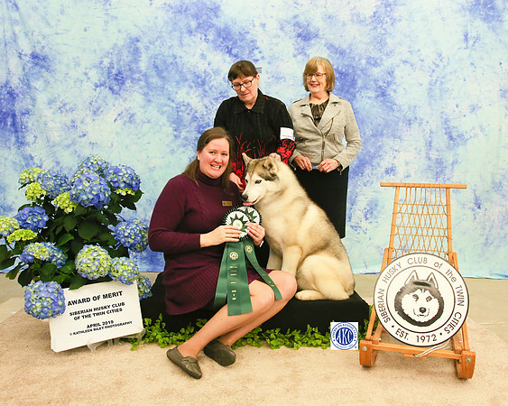 Award of Merit - Sunday - Siberian Husky Club of the Twin Cities