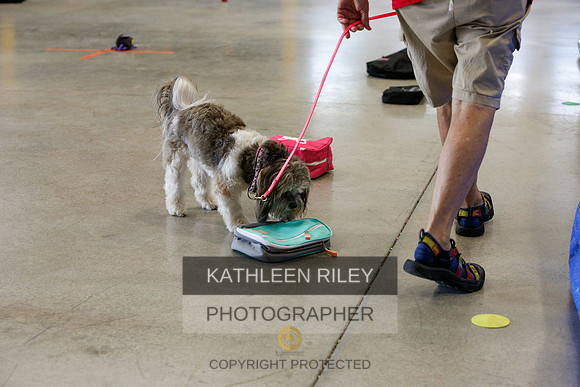 2022-KathleenRileyPhotography-4871