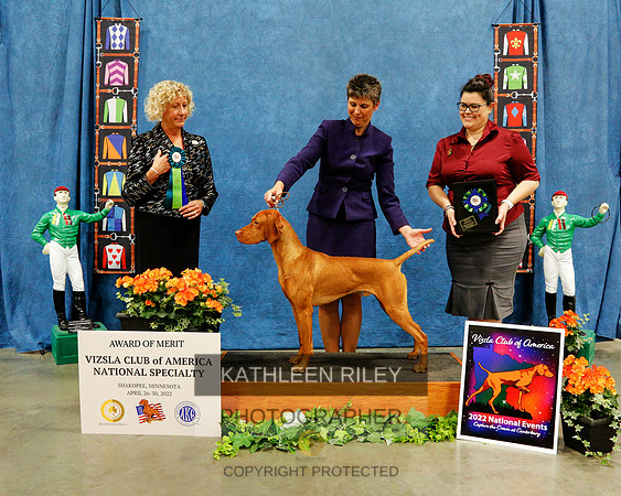AOM-2022-KathleenRileyPhotography-7569 (1)