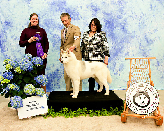 Winners Dog - Sunday
