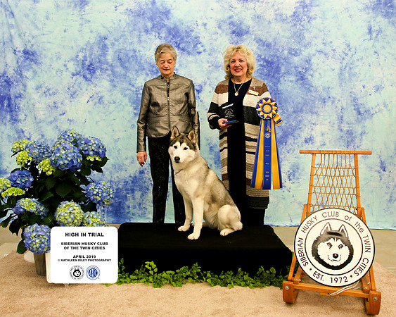 High in Trial - Sunday - Siberian Husky Club of the Twin Cities