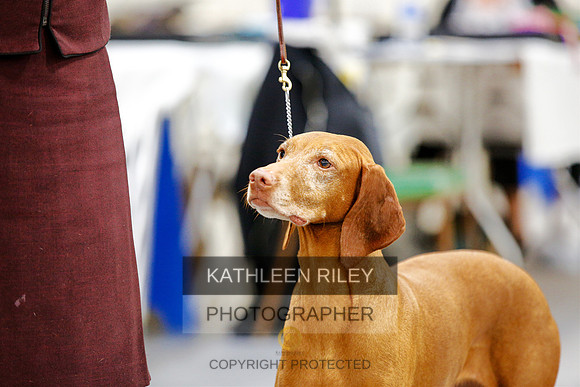 2022-KathleenRileyPhotography-2349