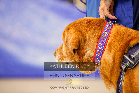 2022-KathleenRileyPhotography-7149