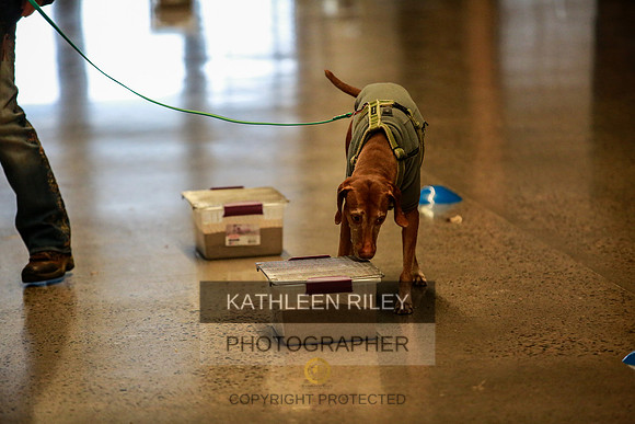2022-KathleenRileyPhotography-7272