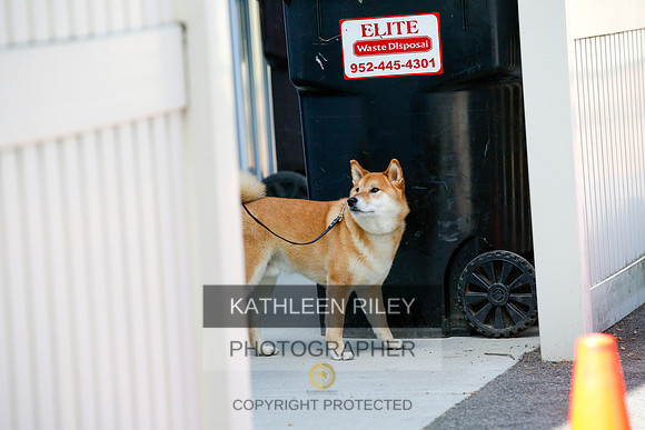2022-KathleenRileyPhotography-4237