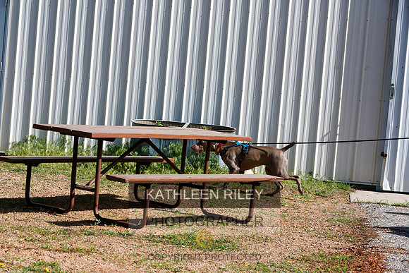 2022-KathleenRileyPhotography-9511