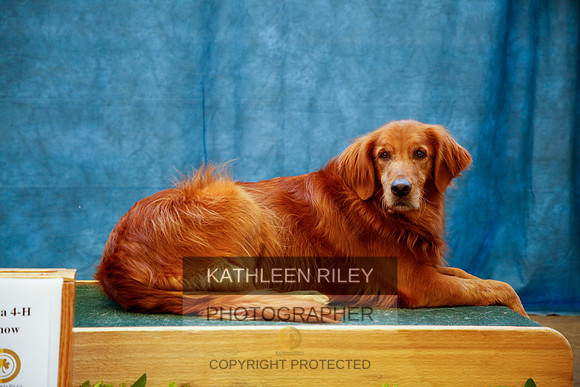 2022-KathleenRileyPhotography-0116