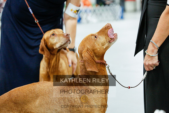 2022-KathleenRileyPhotography-0159