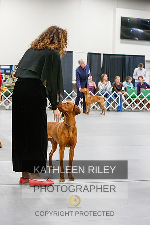 2022-KathleenRileyPhotography-6752