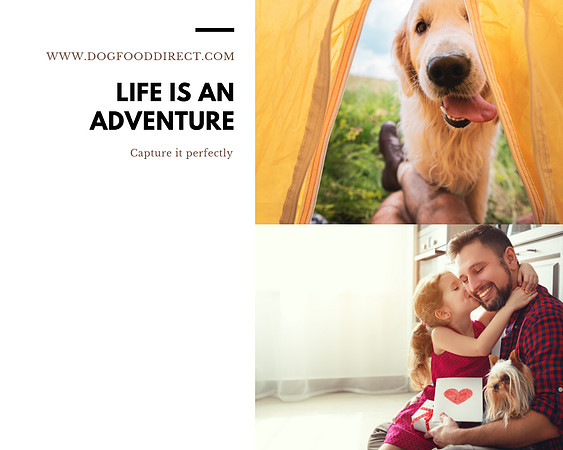 FB INSTA TWIT - Life is an Adventure Father's Day