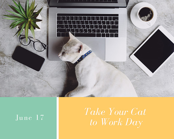 FB INSTA TWIT Post Take Your Cat to Work Day
