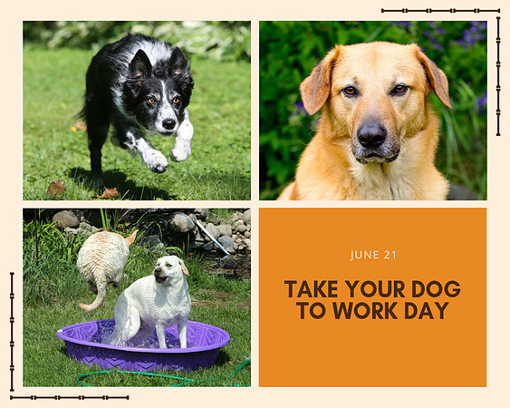FB INSTA TWIT Post Take Your Dog to Work Day