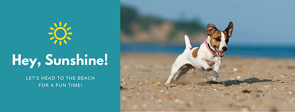 FB Cover Beach Dog Running