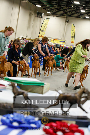2022-KathleenRileyPhotography-1273