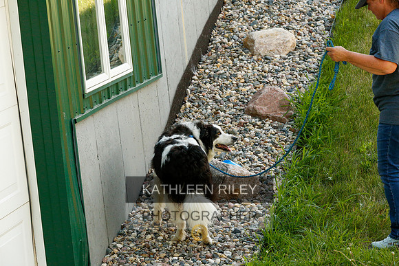 2022-KathleenRileyPhotography-0280