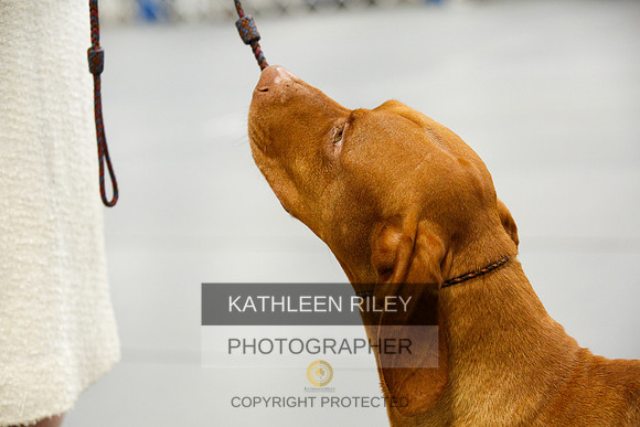 2022-KathleenRileyPhotography-0777