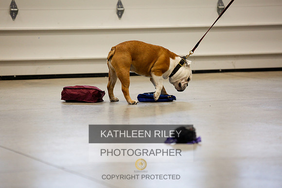 2022-KathleenRileyPhotography-7344