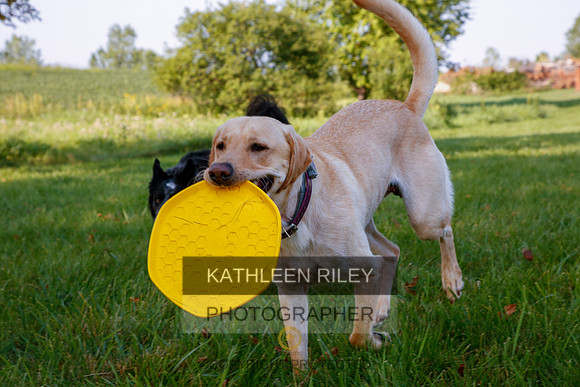 2022-KathleenRileyPhotography-5592