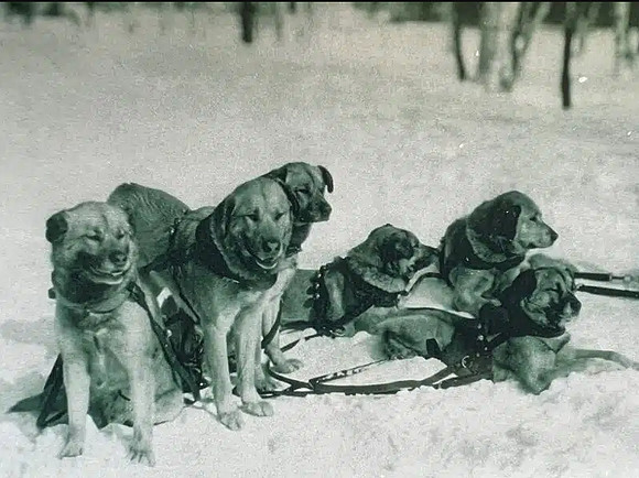 Chinook Team