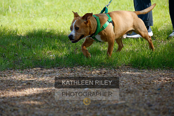 2022-KathleenRileyPhotography-3909