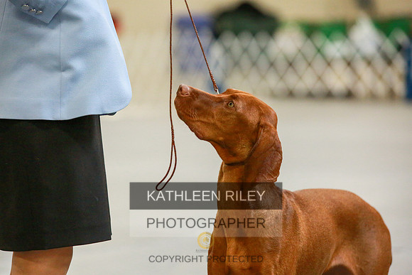 2022-KathleenRileyPhotography-8728