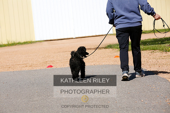 2022-KathleenRileyPhotography-4108
