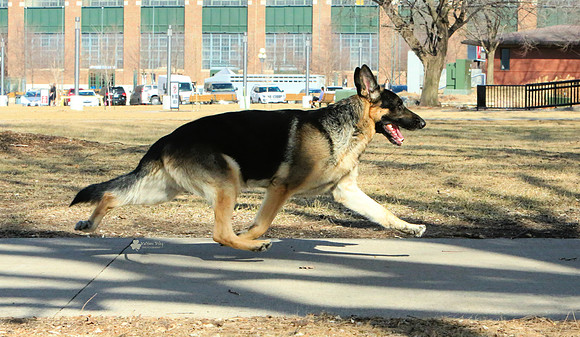 KathleenRileyPhotography_GSD_SS2_2707