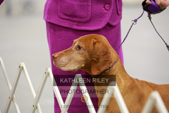 2022-KathleenRileyPhotography-8163
