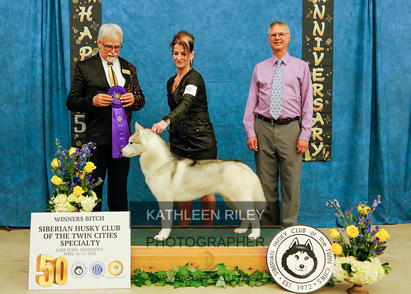 WINNERS BITCH SATURDAY (7×5) ECHOING WIND'S SHE SHOOTS SHE SCORES. WS70440001. 10/20/2020.Bitch. Breeder: Charity Reger, Robin Malchow, Julie Lamonska. By GCH KansaSomething To Be Proud Of BCAT - Echo
