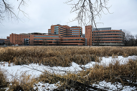 Methodist Hospital St Louis Park Minnesota