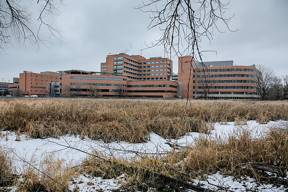Methodist Hospital St Louis Park Minnesota