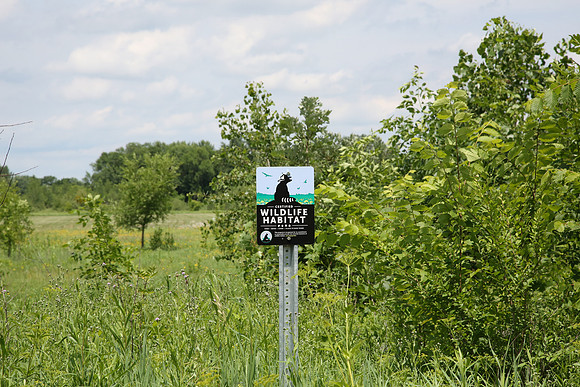 Champlin Minnesota