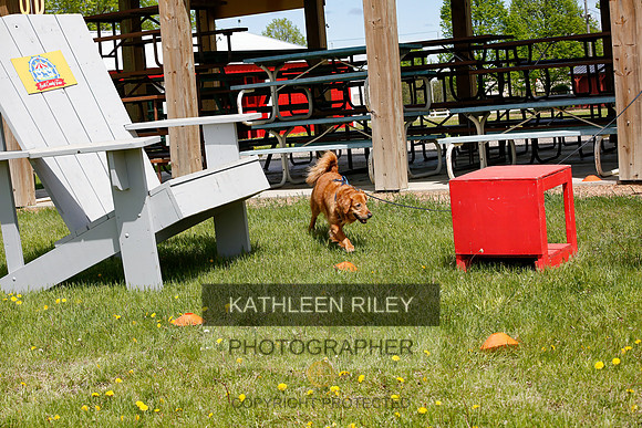 2022-KathleenRileyPhotography-4531-Edit