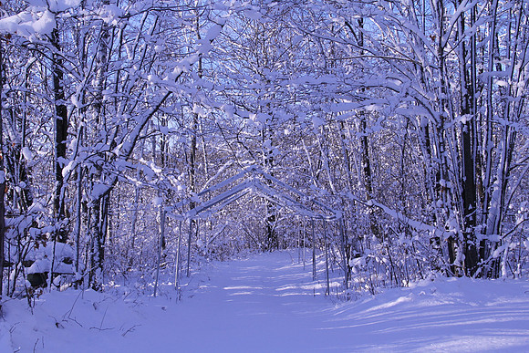 Minnesota Winter