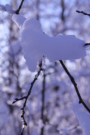 Minnesota Winter
