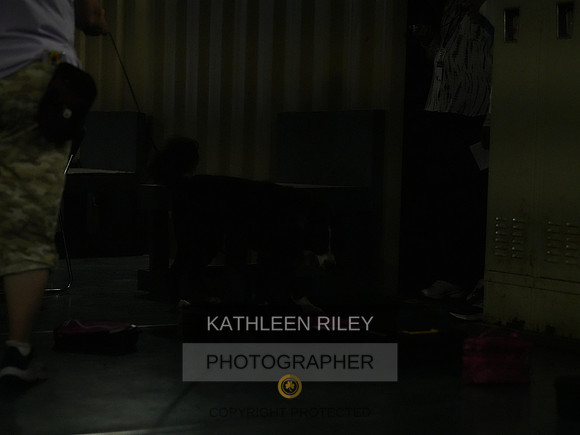 2022-KathleenRileyPhotography078